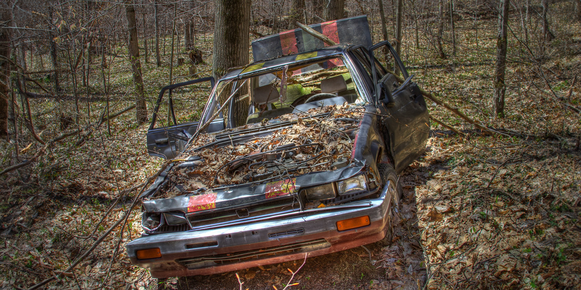 Man Was Shocked by What He Found in the Trunk of an Old Car Abandoned in the Forest