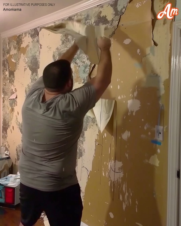 MY EX-HUSBAND RIPPED OFF THE WALLPAPER AFTER OUR DIVORCE BECAUSE “HE PAID FOR IT”